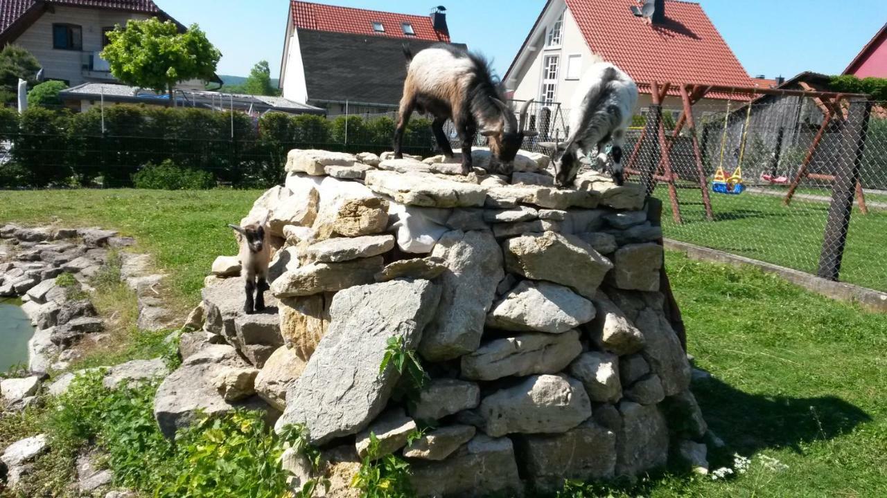 Home&Classic Erlebnisscheune Effelder  Eksteriør billede